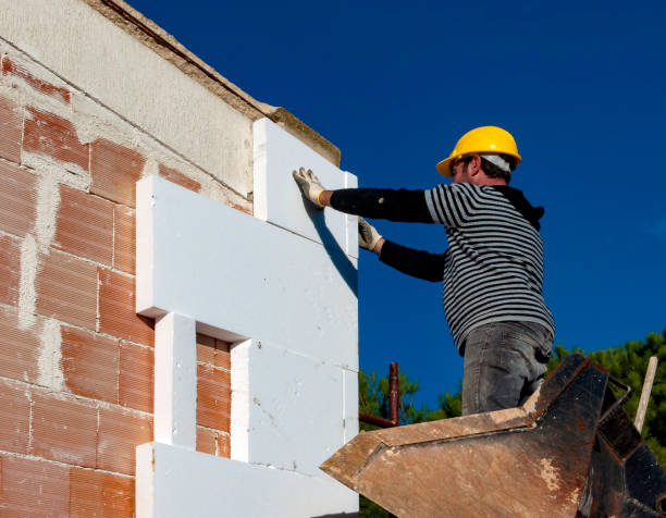 Best Specialized Insulation Services in Lakeview, OH