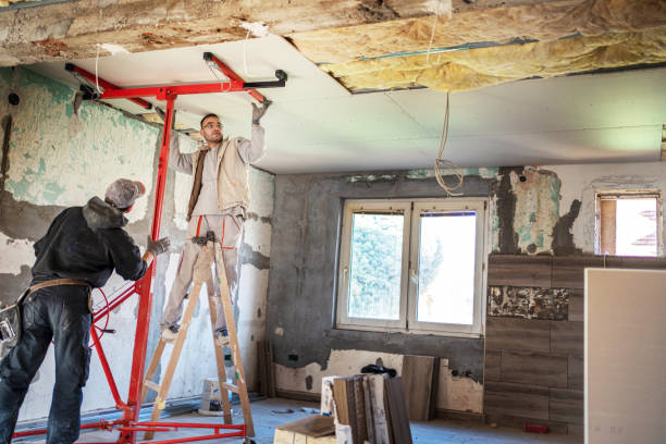 Best Residential Insulation in Lakeview, OH
