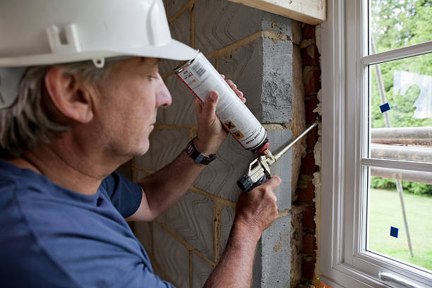 Best Commercial Insulation in Lakeview, OH